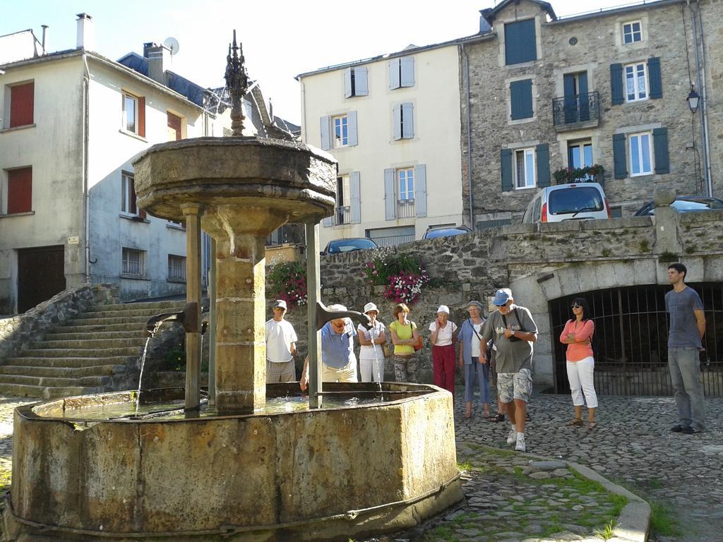 Gite "Les Hortensias" Au Coeur De Lacaune Bagian luar foto